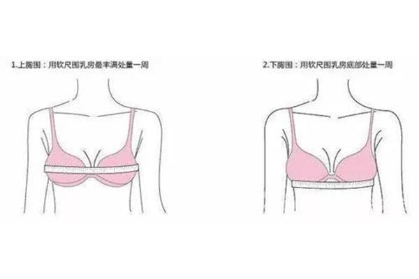 怎么测量罩杯