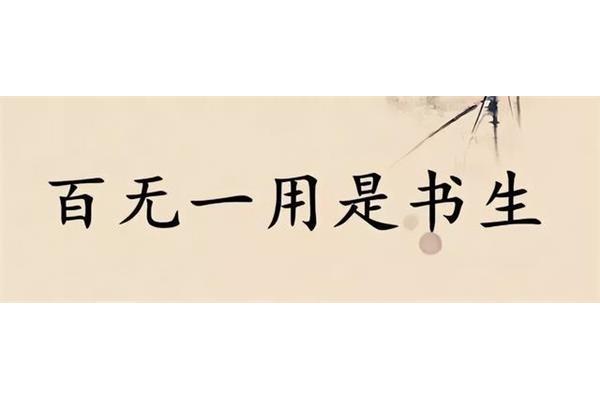 百无一用的意思