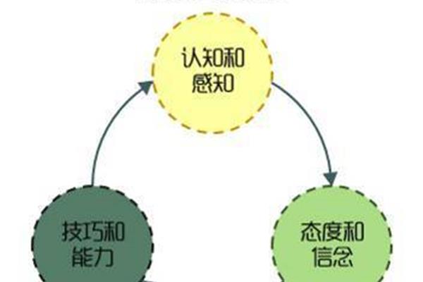 学习型组织理论