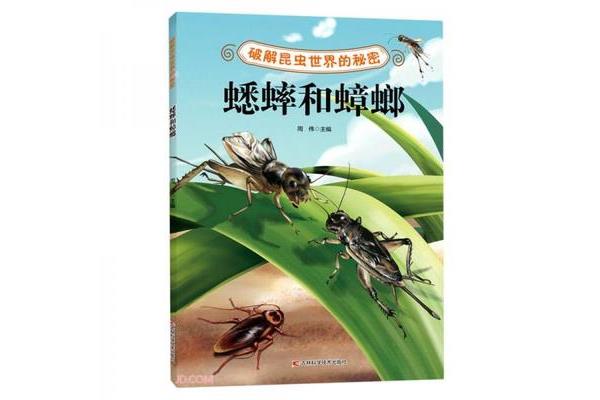 昆虫的秘密