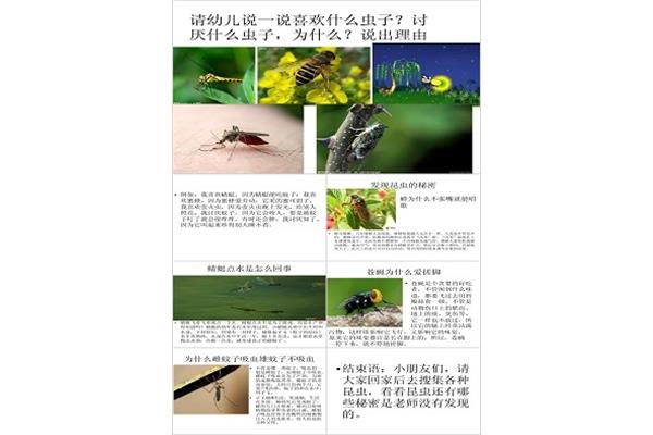 昆虫的秘密