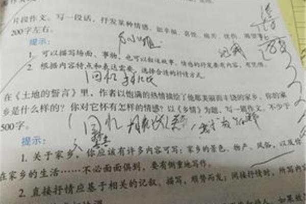 乡情作文500字