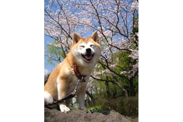 临沂人才引进