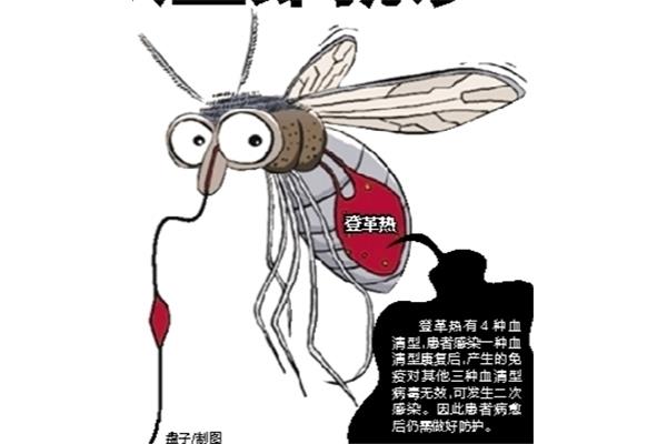 个案调查是一种