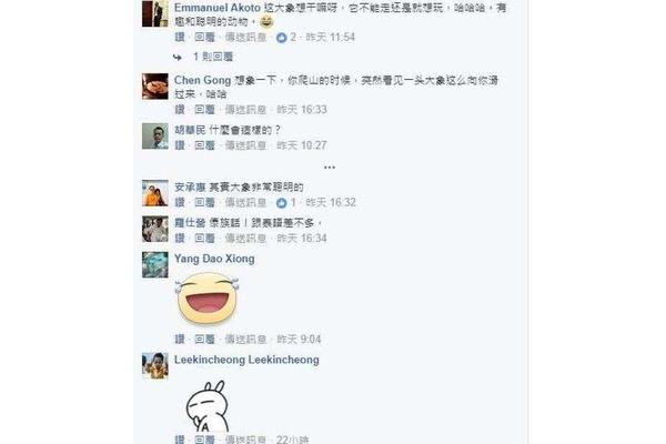 推特是干嘛的