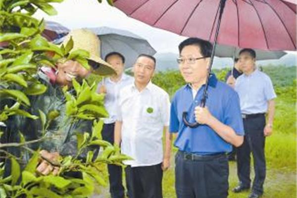 射洪新闻网