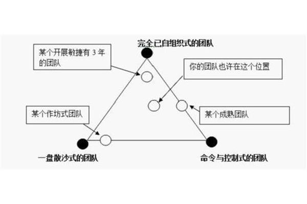 自组织系统