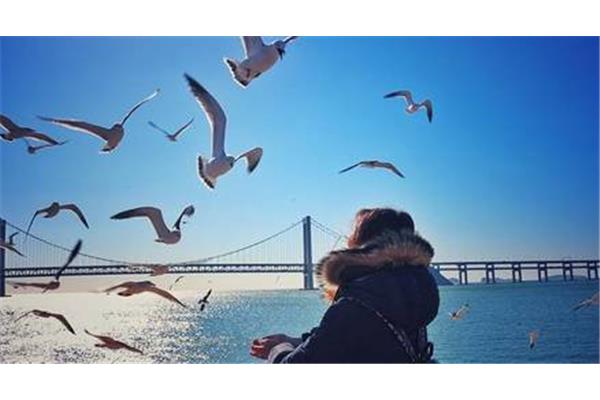 大连冬季旅游攻略
