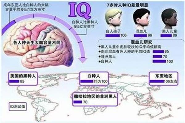 智商105