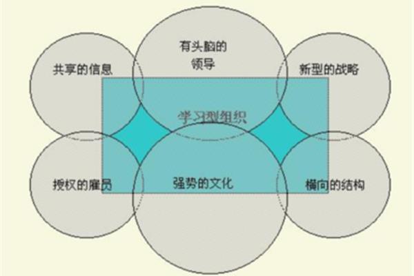 学习型组织理论