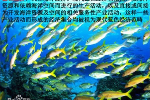 海洋空间资源