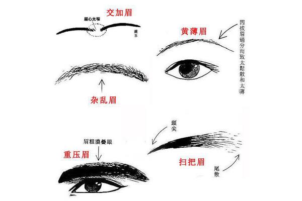 五官的作用