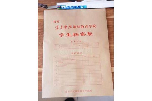 人才市场档案