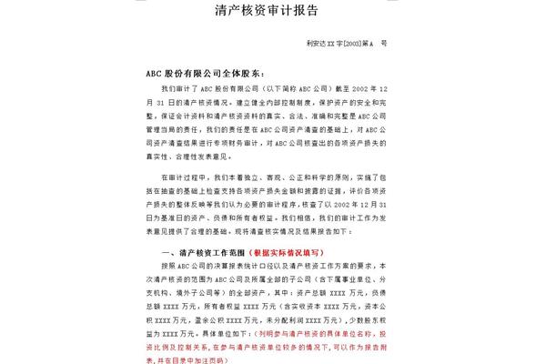 清产核资报告