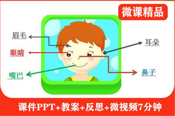 五官的作用