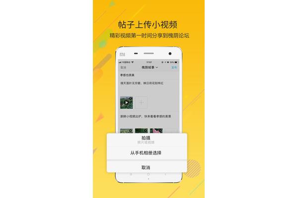 槐荫论坛槐荫城事