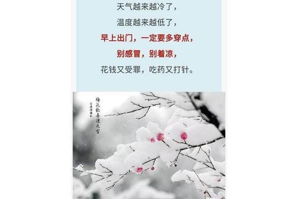 你是我最牵挂的人