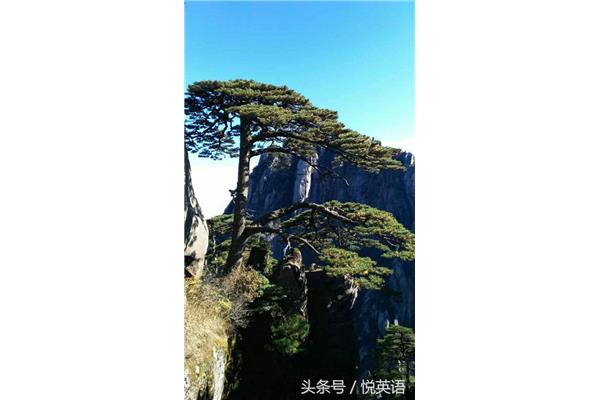 黄山的诗句