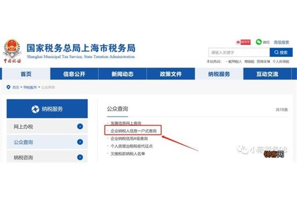 一般纳税人标准