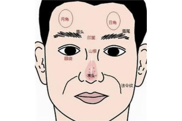 什么头什么目