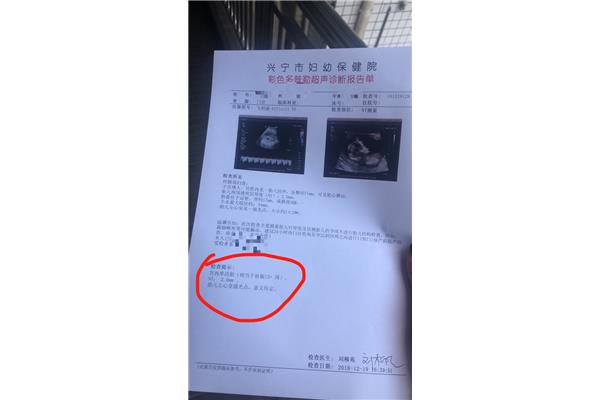 24周是几个月