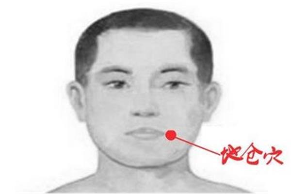 什么头什么目