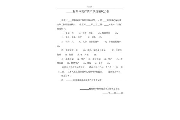 清产核资报告