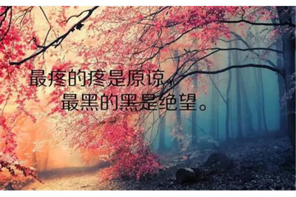 经典一句话