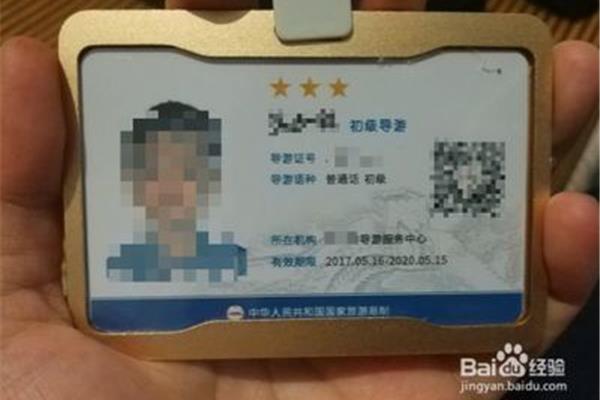 导游证查询