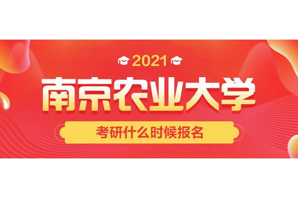 考研啥时候报名