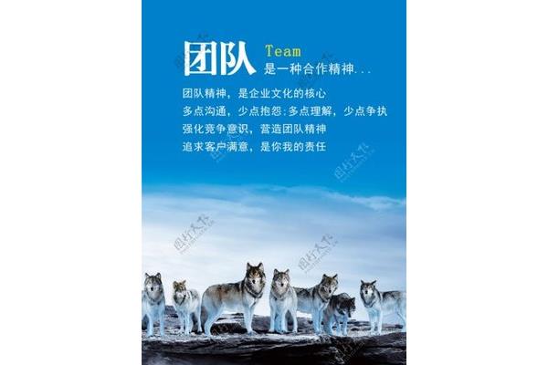团队合作的名言