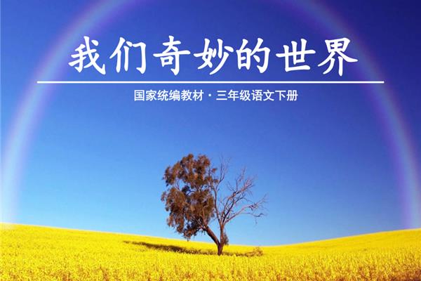我们与世界