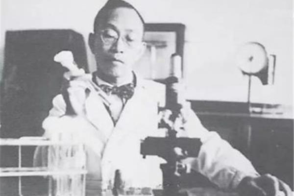 屠呦呦诺贝尔