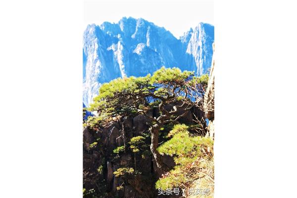 黄山的诗句