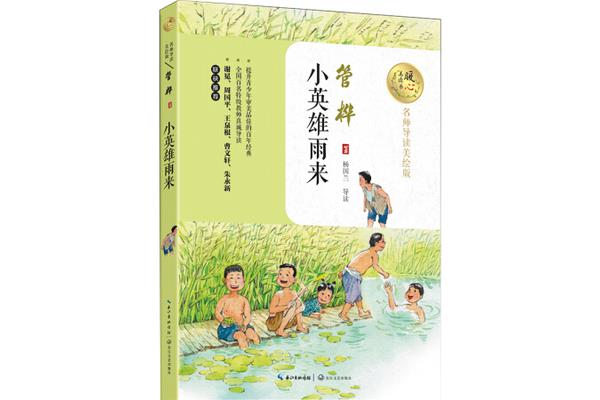 小英雄雨来梗概