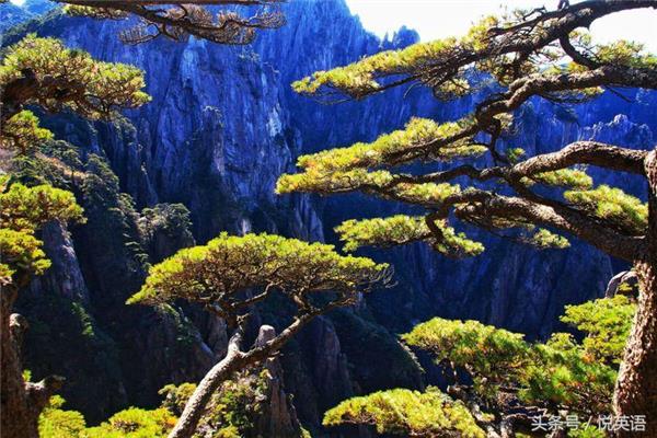 黄山的诗句