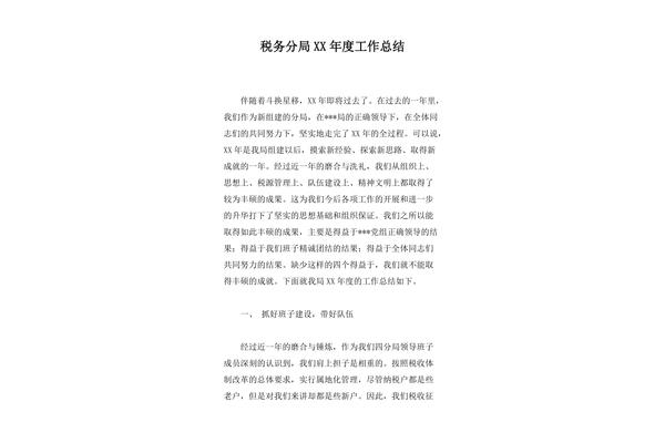 税务工作总结