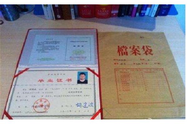 人才市场档案