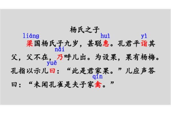 杨氏之子课件