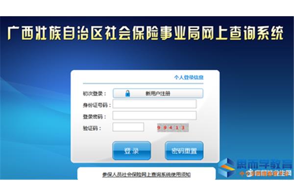 个人养老保险查询