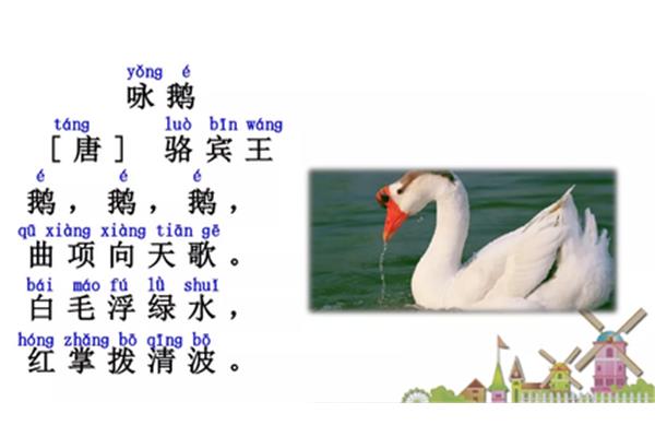 鹅怎么组词