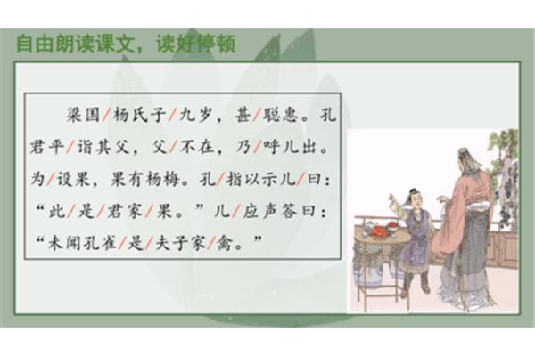 杨氏之子课件