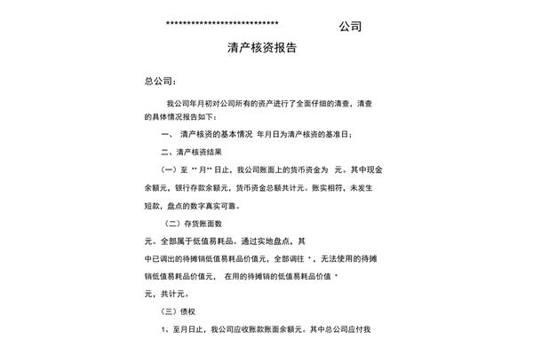 清产核资报告