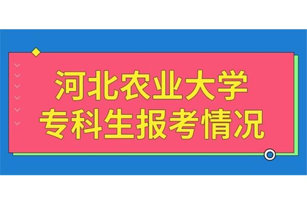 在职大专生考研