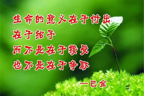 生命的意义名言