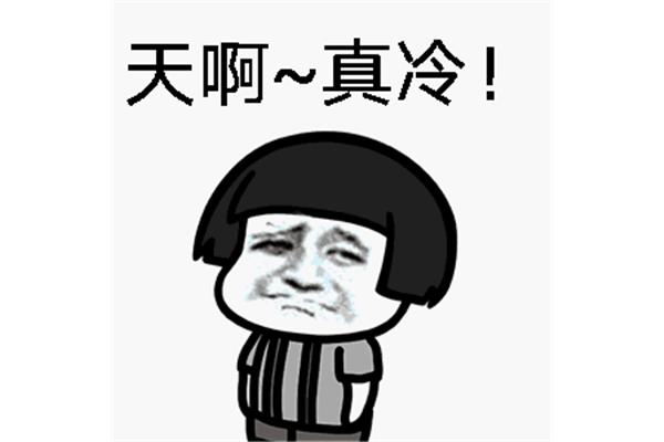 什么天什么动