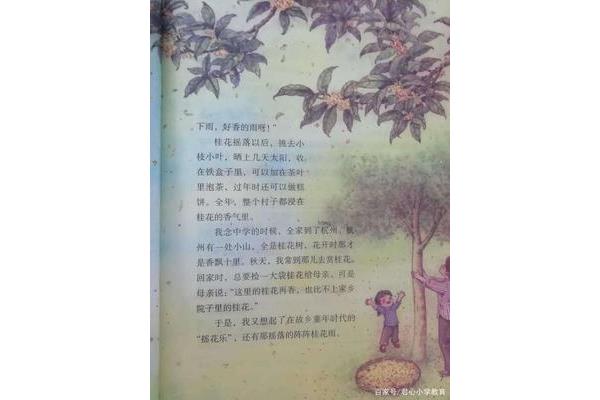 桂花雨的作者