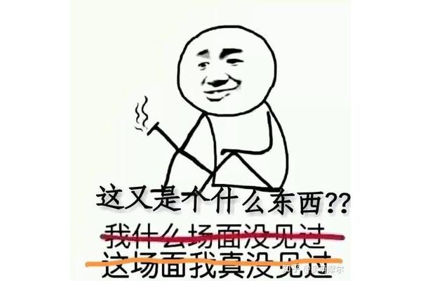 什么不什么什么