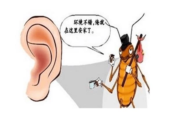 什么不什么什么