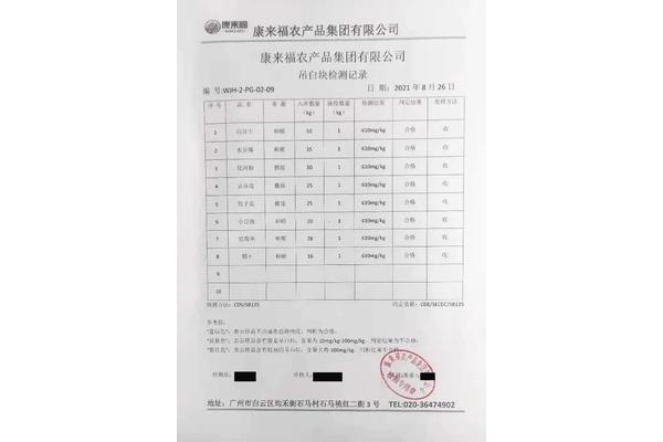 检测报告范本
